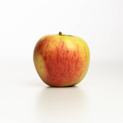Pomme Delbardestival des Vergers Tissot