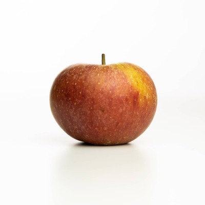Pomme Suntan des Vergers Tissot